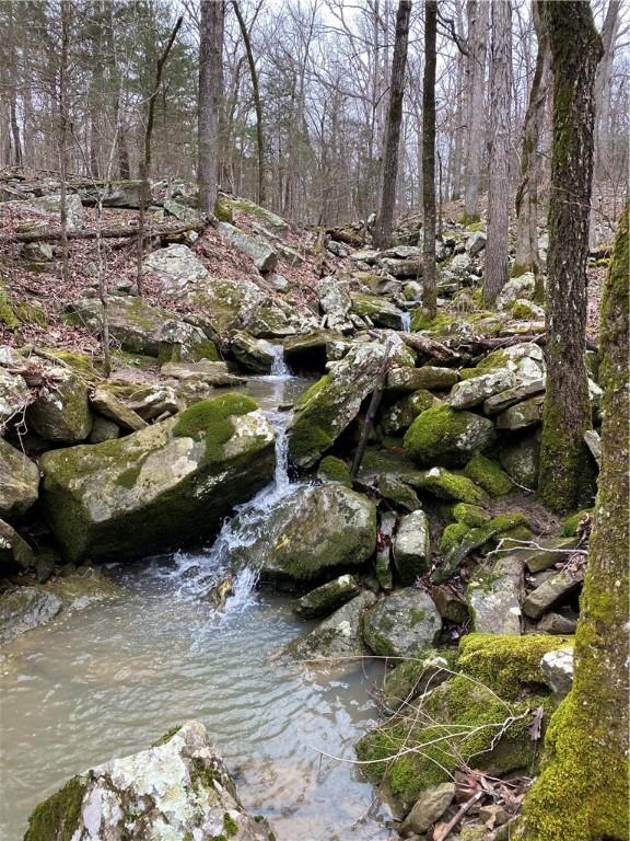 Image 4: Year round spring fed creek in rear of property