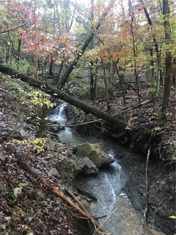 Image 3: Spring fed creek in rear of property