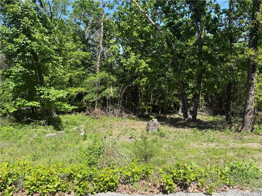 Image 1: Expansive treed lot featuring mature foliage and n