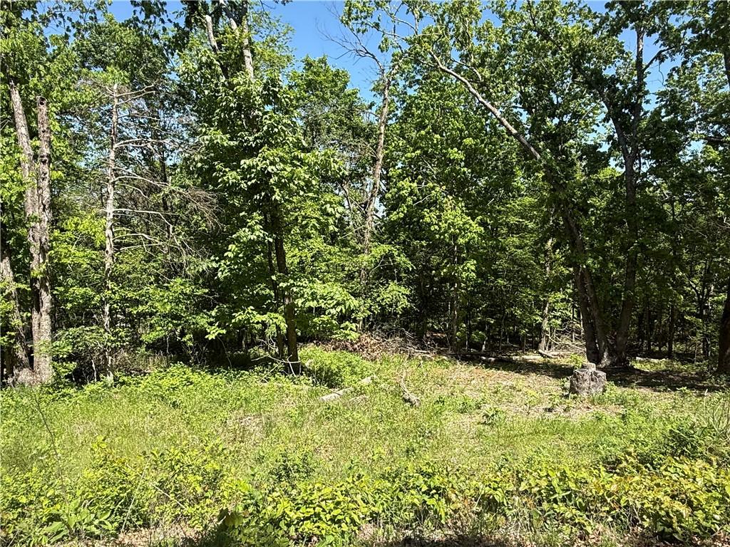 Image 2: Wooded acreage featuring mature deciduous trees an