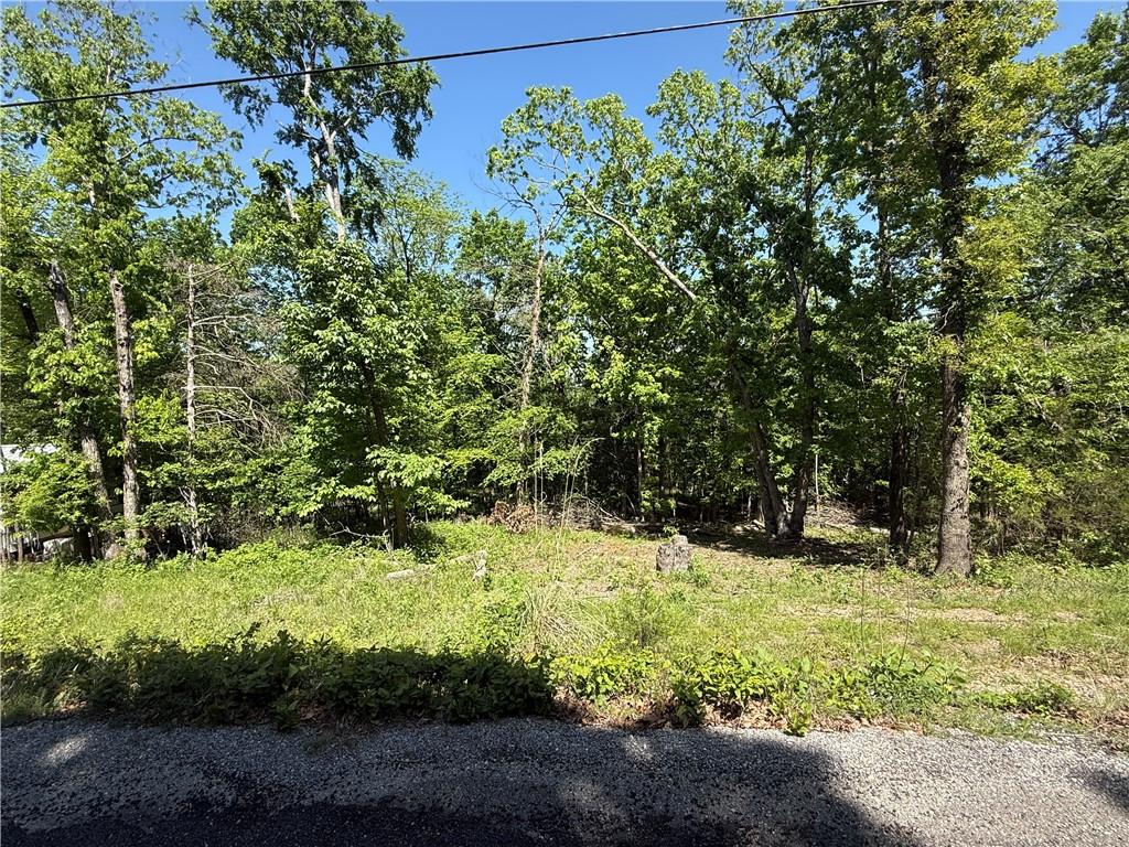 Image 3: Wooded lot with mature trees and natural ground co