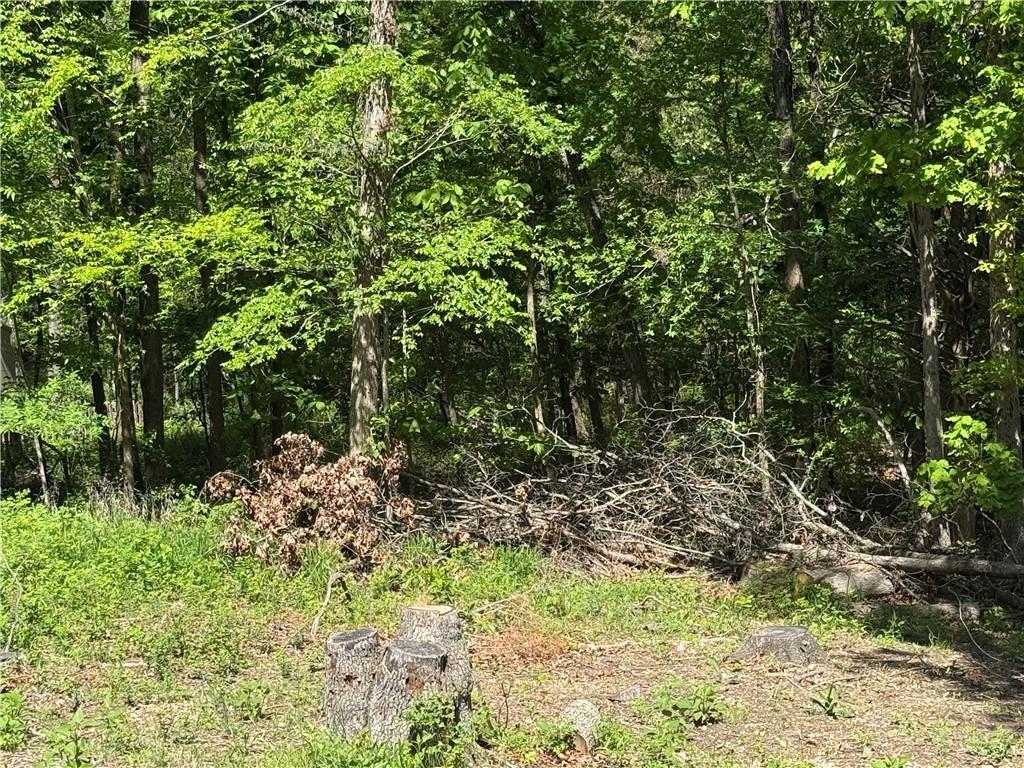 Image 4: Wooded landscape featuring mature trees and natura