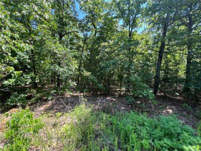 TBD Saddle View Drive