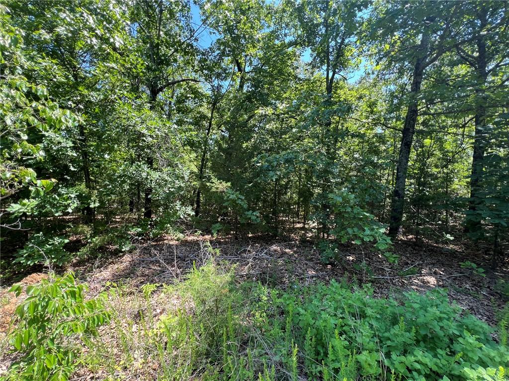 Image 1: Heavily treed lot featuring dense foliage and matu