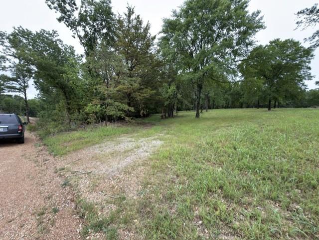 Image 4: Entrance to the lots to the right of gravel road.