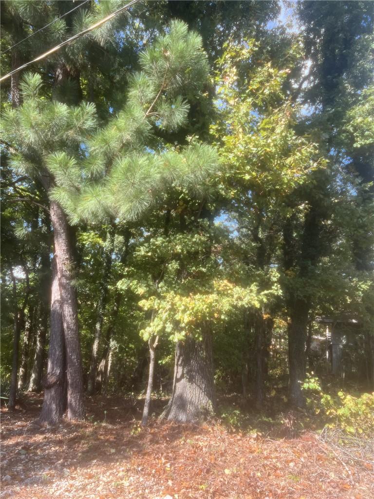 Image 3: View of nature