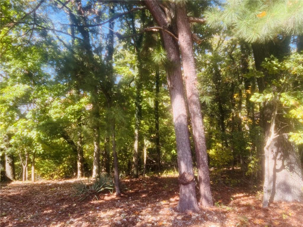 Image 4: View of local wilderness
