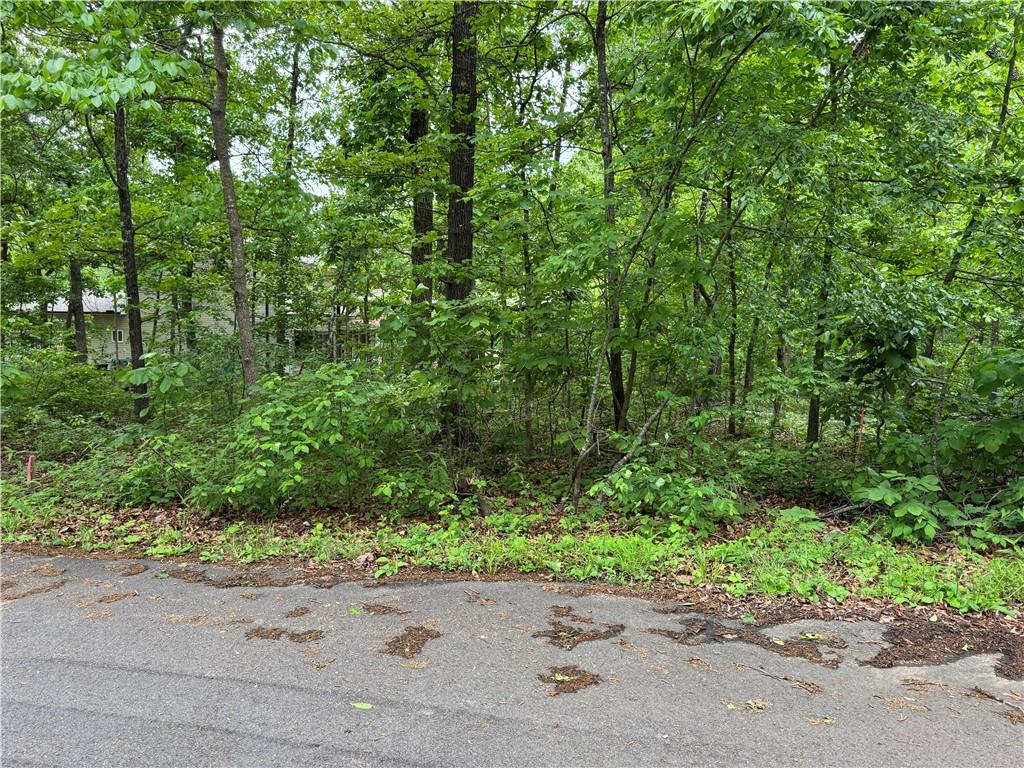 Image 1: Wooded property with mature trees
