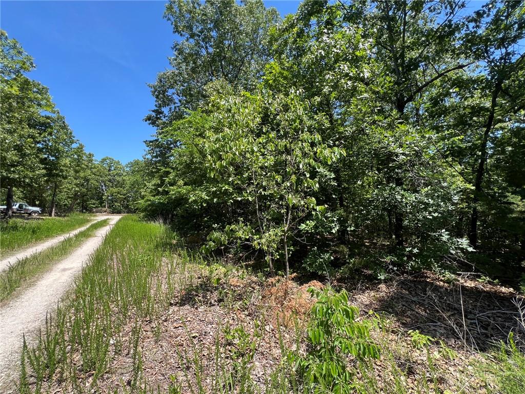 Image 3: Gravel drive surrounded by dense deciduous trees a