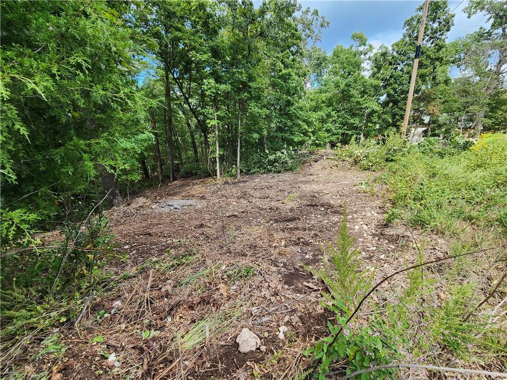 Image 2: Lot partially cleared for easier access