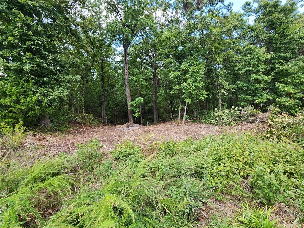 Image 3: Soft clearing
