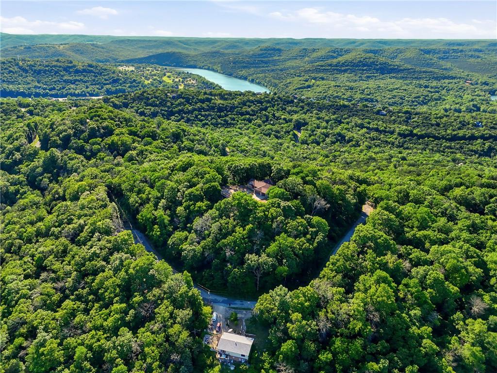 Image 4: Expansive forested landscape featuring a winding r