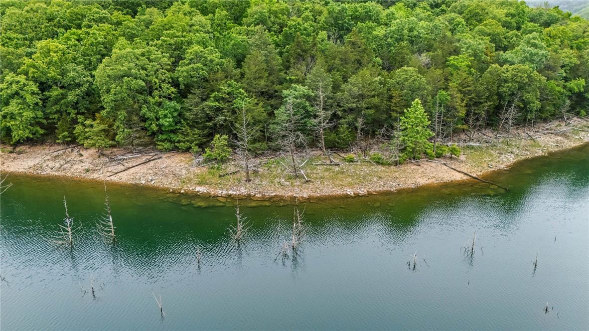 Image 4: 7.25 Acres Lake Front & Zoned for Docks