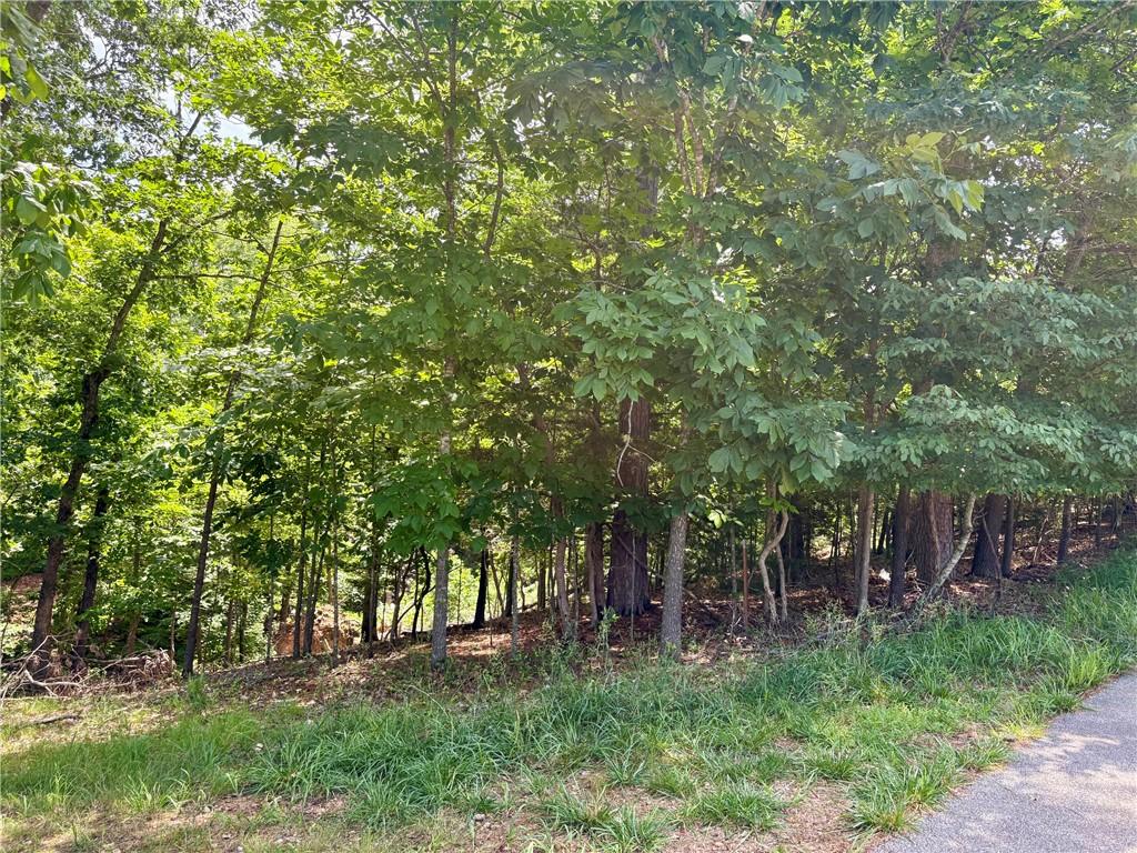 Image 1: Wooded lot featuring mature trees and a gentle slo