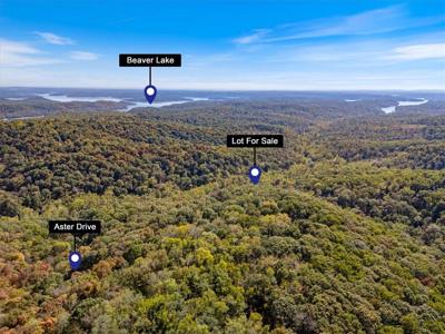 Lot 265 Aster Drive