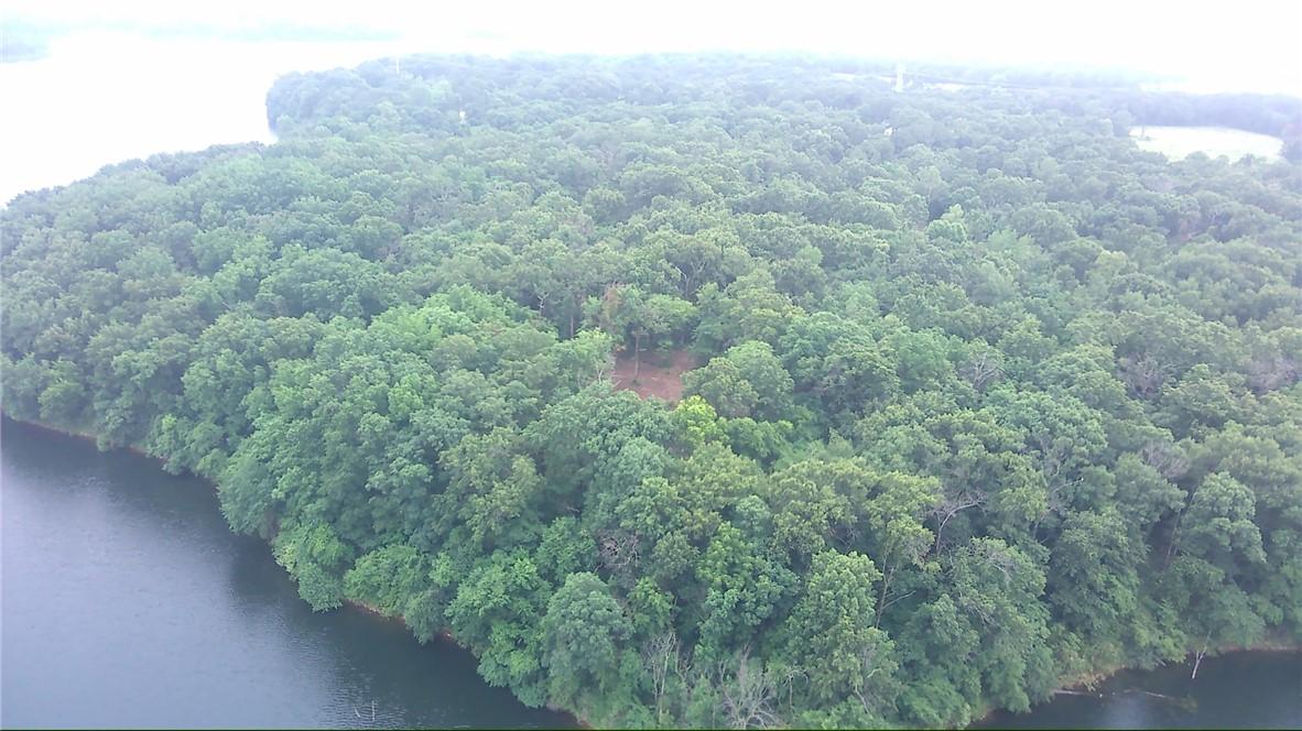 Image 4: Expansive wooded land parcel featuring a clearing