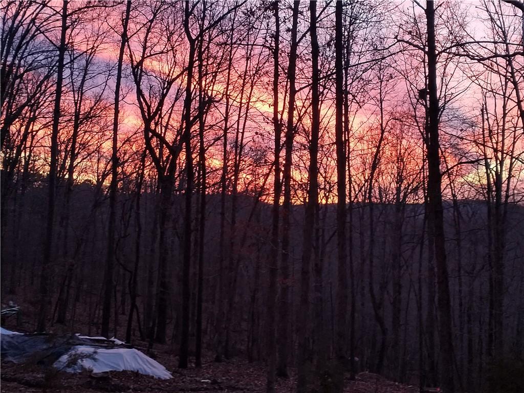 Image 1: Great Sunsets