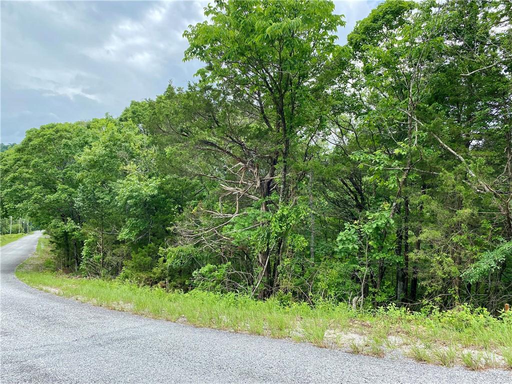 Image 1: .46 Acre Buildable Lot