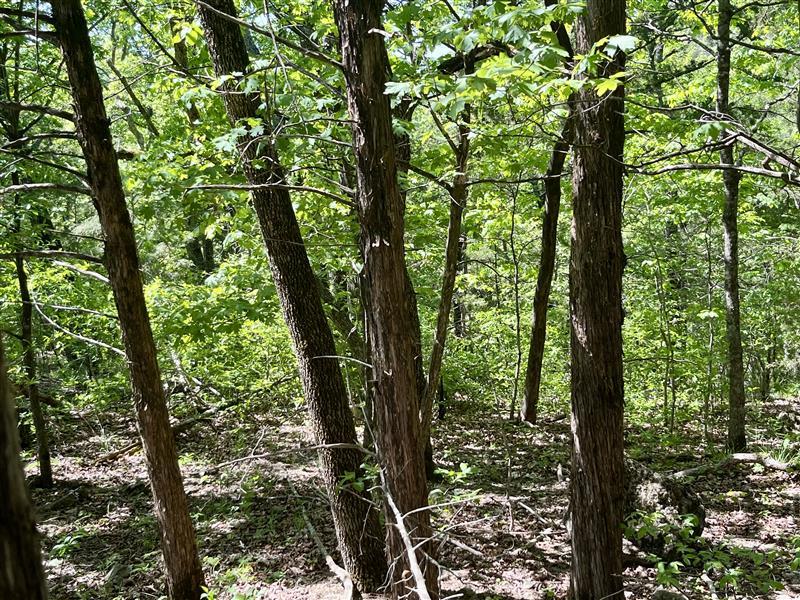 Image 3: building spots