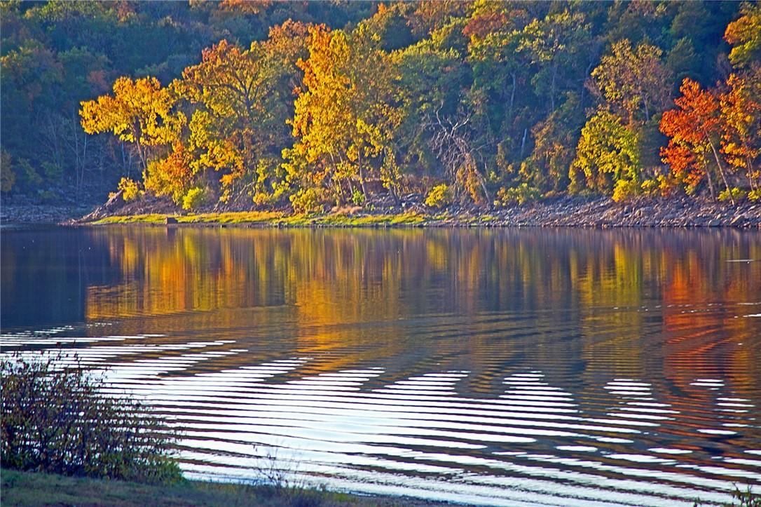 Image 3: Table Rock Lake in the Fall