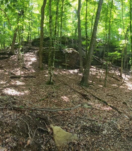Image 3: Heavily wooded terrain featuring mature deciduous