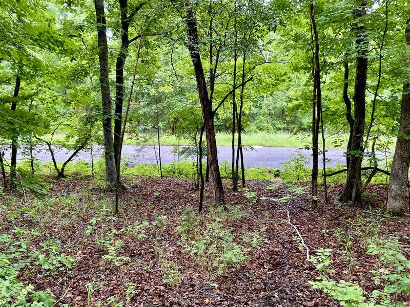 Image 2: Property down to the street