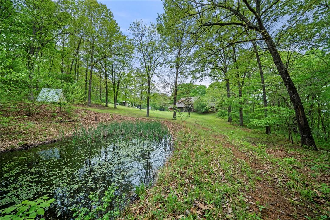 Image 3: Natural pond featuring aquatic vegetation and a gr
