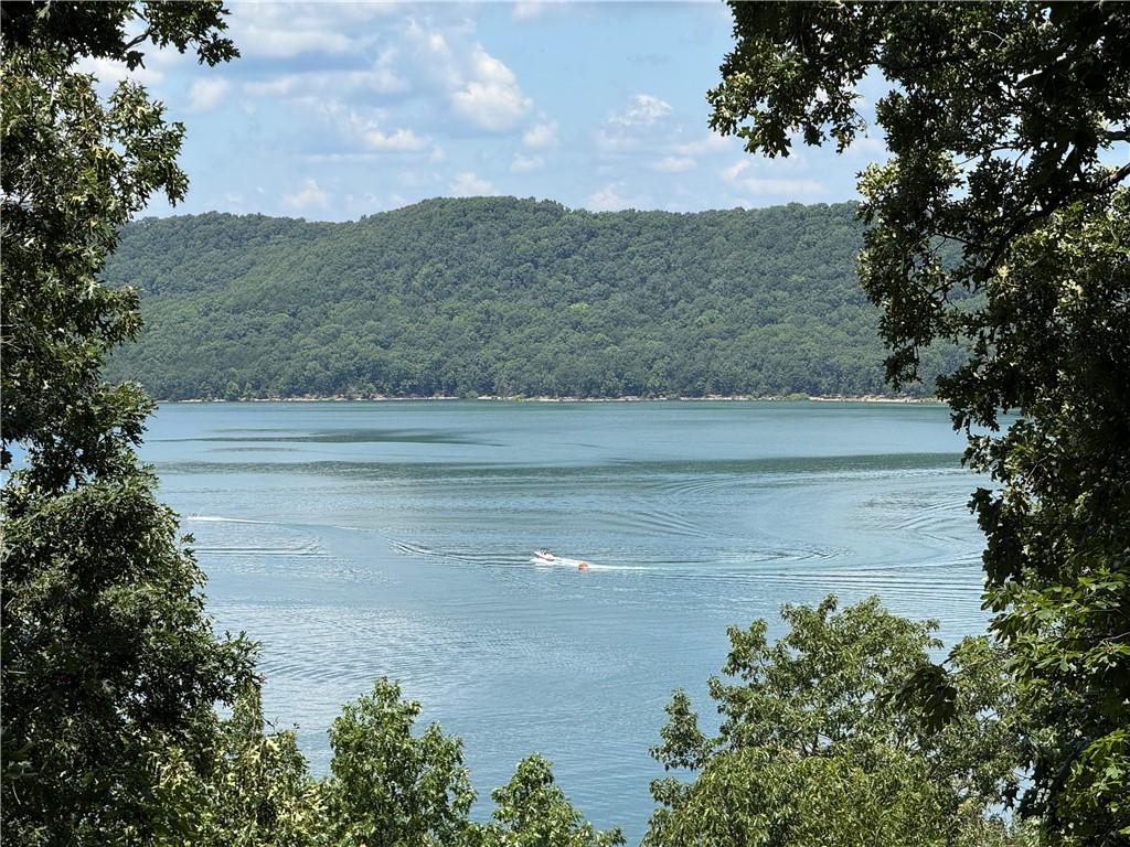 Image 1: Expansive lake scenery framed by lush mature trees