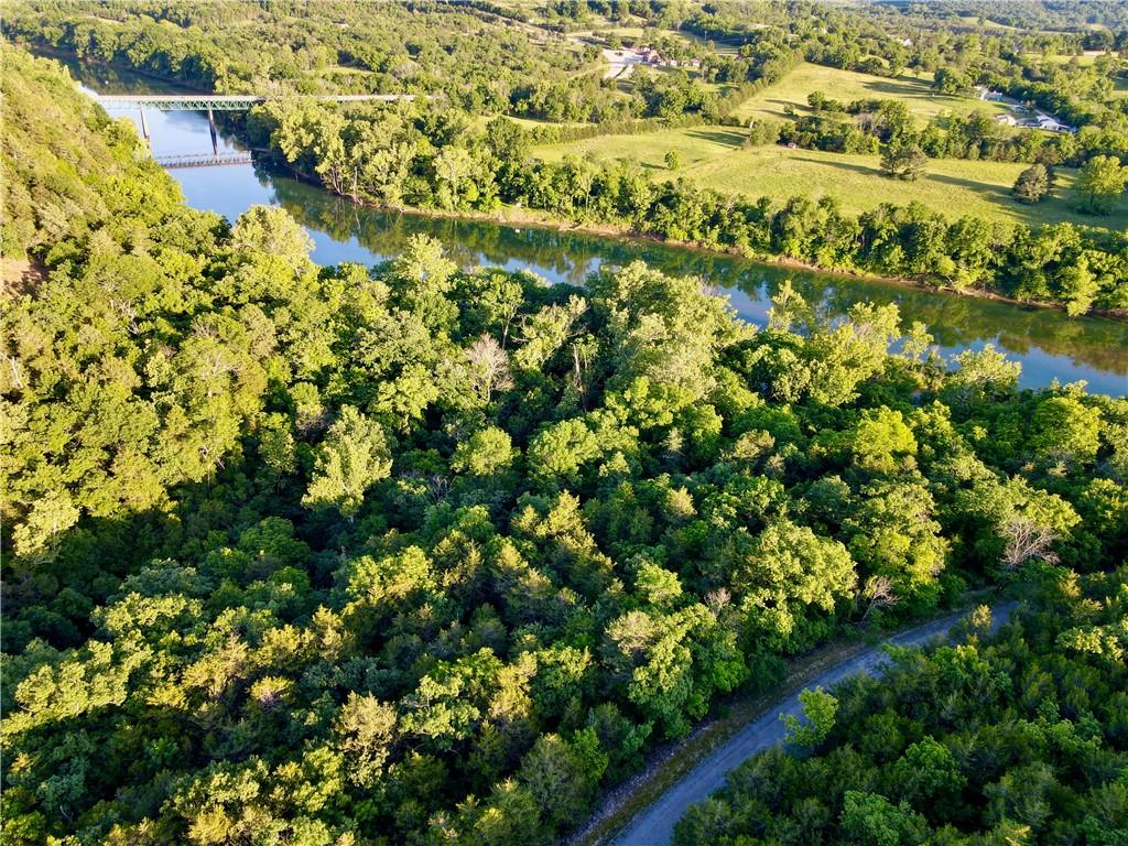 Image 3: Expansive acreage featuring abundant mature trees,