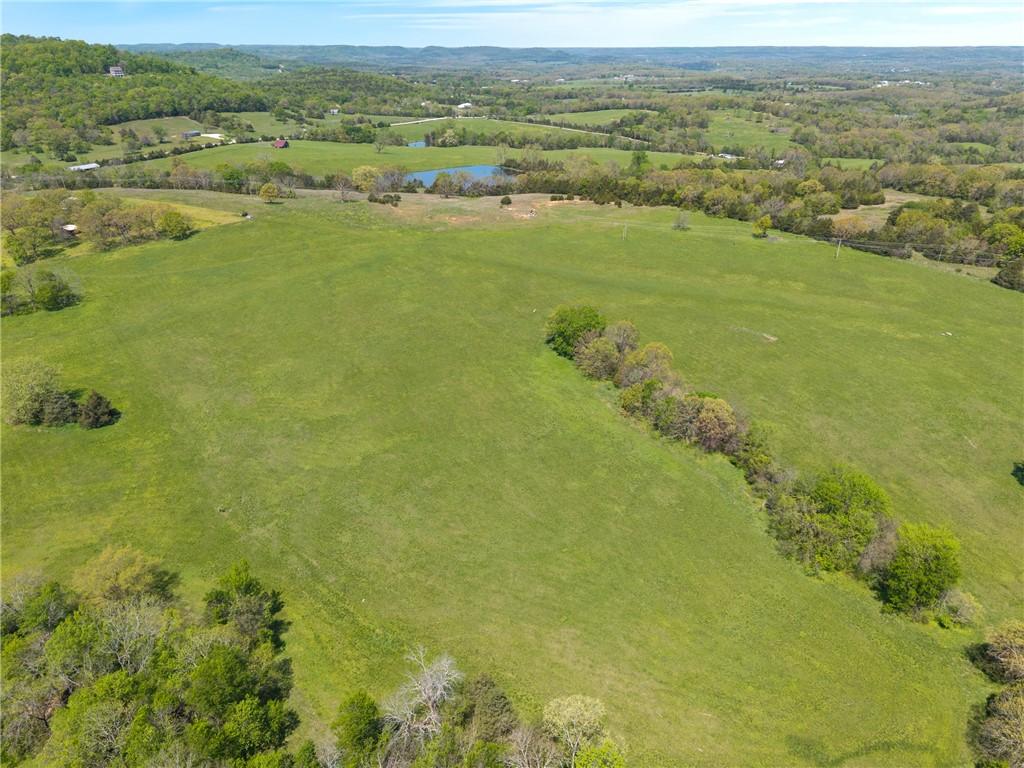 Image 4: Expansive green pastureland with scattered mature