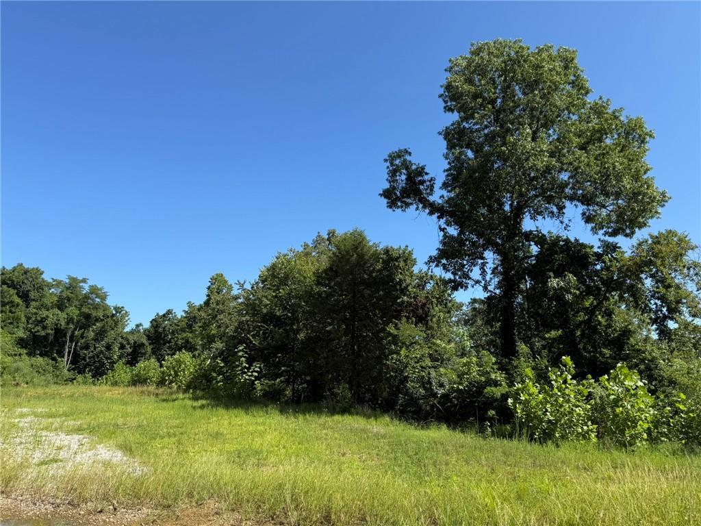Image 3: Expansive land parcel featuring open grassy areas