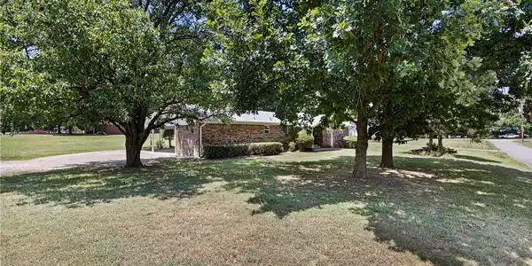 Image 3: Mature trees providing natural shade