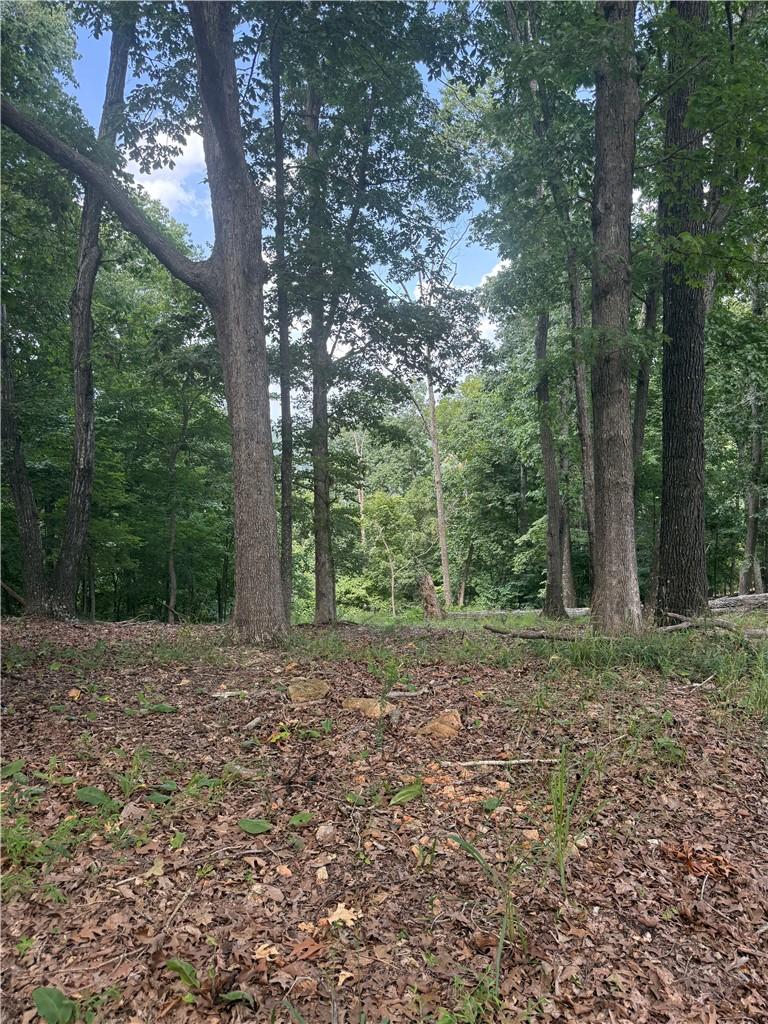 Image 2: Wooded lot featuring mature trees and natural grou