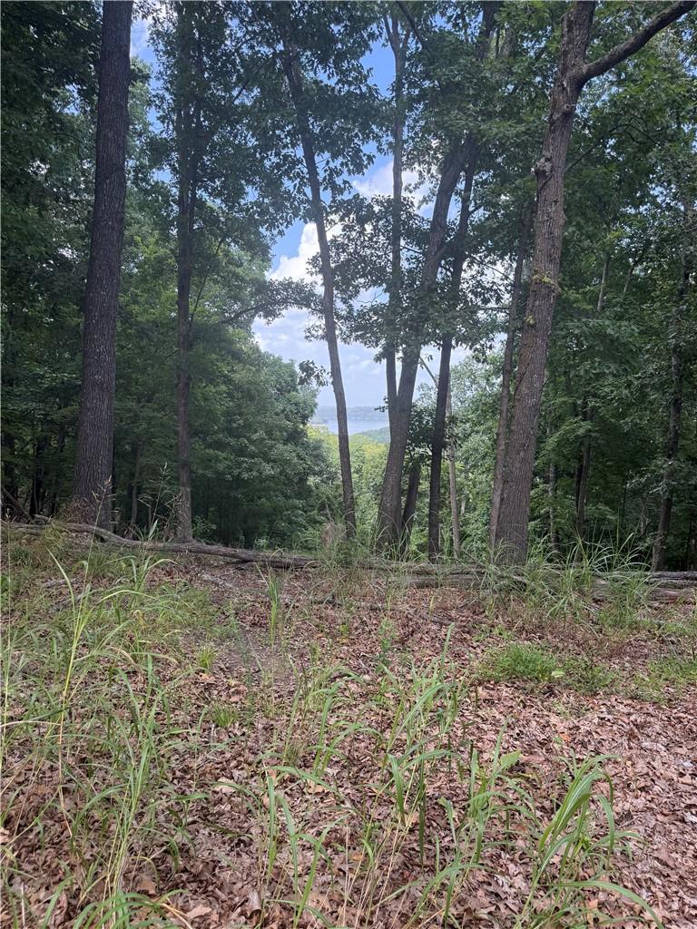 Image 3: Wooded lot with partial water visibility through m