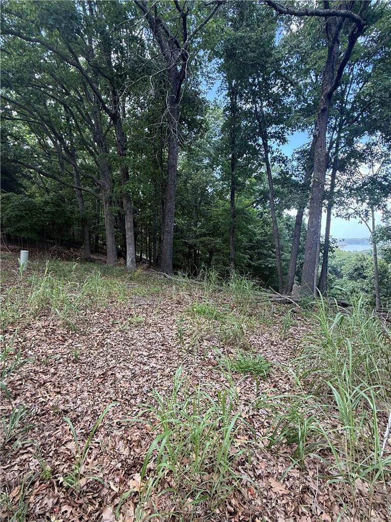 Image 4: Wooded lot featuring mature trees and a partial wa