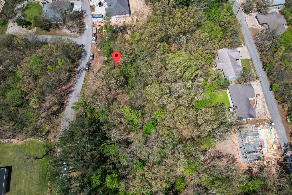 Image 3: Expansive wooded lot featuring mature trees and a