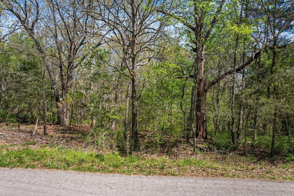 Image 4: Wooded lot featuring mature trees and lush undergr