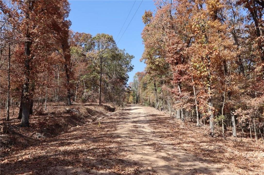 Image 2: Wooded acreage featuring a dirt path, mature trees