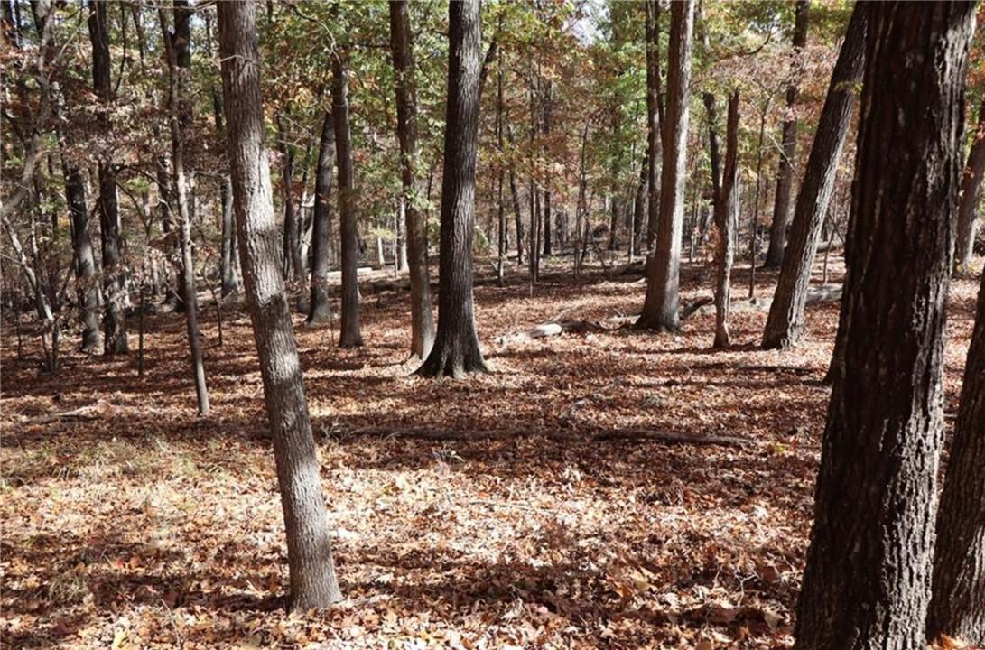 Image 3: Wooded landscape featuring mature deciduous trees