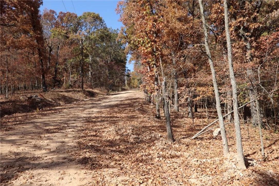 Image 4: Expansive wooded property featuring a dirt path, m