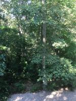 Lot 24 Elvanfoot Lane
