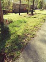 Grantham Drive