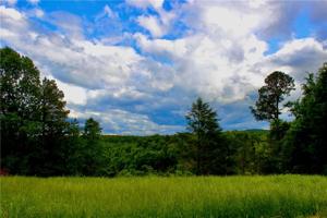 0000 County Road 108