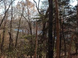 Oak Leaf Drive & Country Club Circle