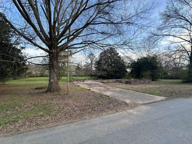 Image 1: View of yard