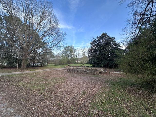 Image 4: View of yard