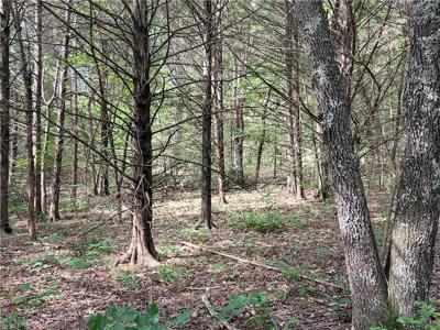 Lot 10 Seaton Drive