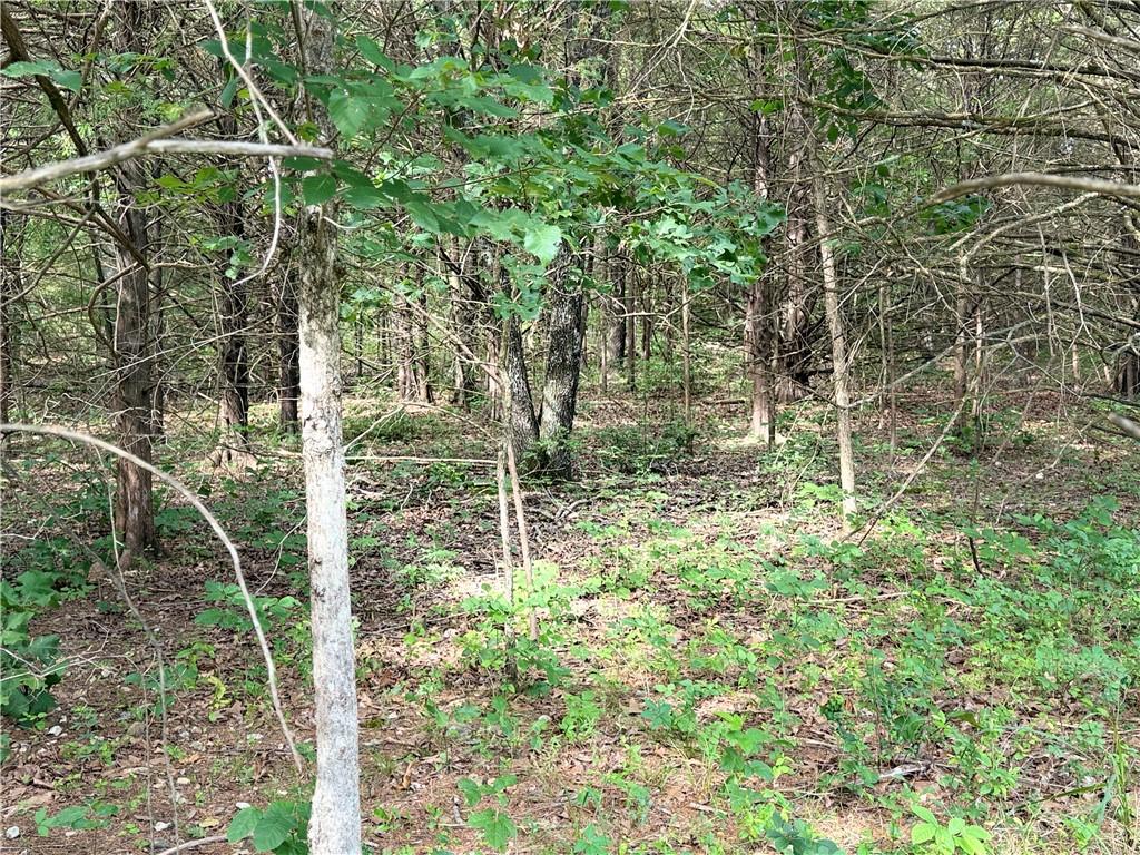 Image 3: Wooded property featuring a dense tree canopy and