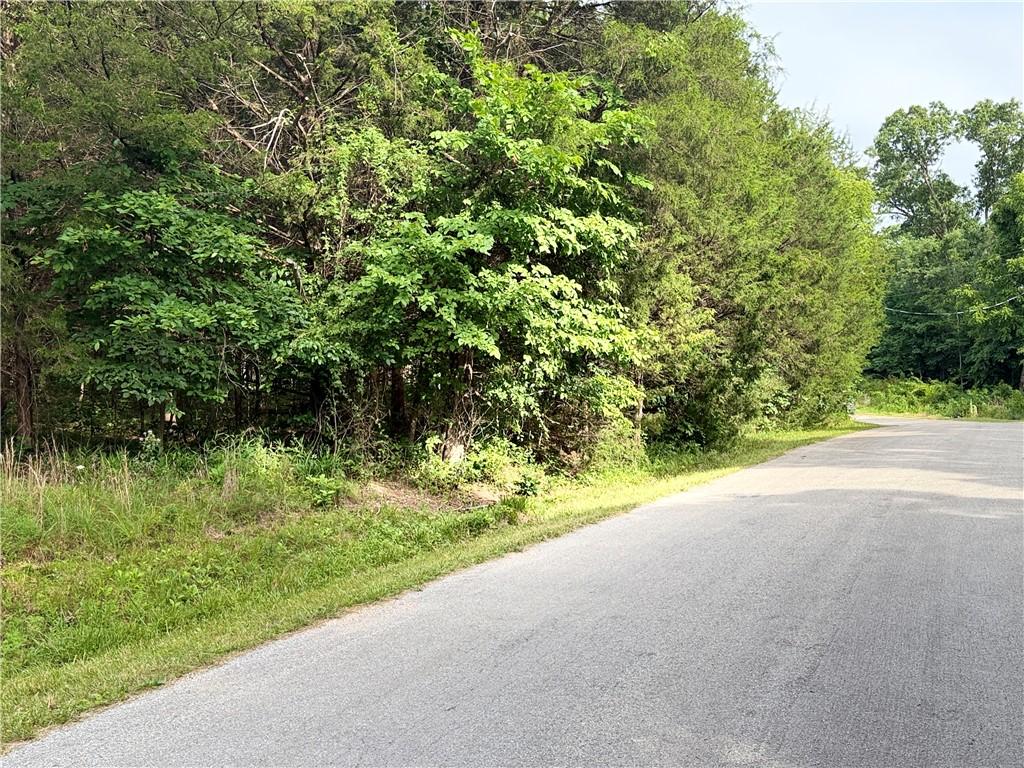 Image 4: Roadside property featuring dense natural vegetati