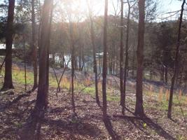 Lots 54, 55, 56 Black Oak Drive